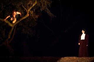 republic of trees lovers