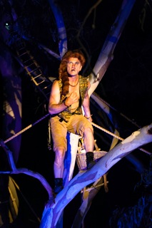 republic of trees looking out